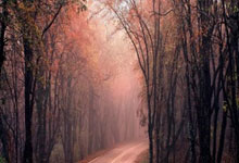 悟空体育官网：红军旧将：联赛杯决赛将会是非常开放的比赛，纽卡配得上冠军.