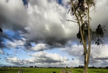 [欧冠]E组第1轮：拉齐奥VS马德里竞技.