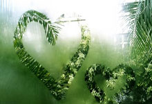 [欧冠]E组第1轮：拉齐奥VS马德里竞技.