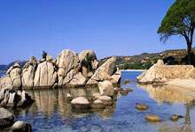 41场，哈兰德成为盖德-穆勒以来最快国家队40球的欧洲球员.